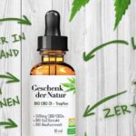 CBD Oil: The Best Uses and Benefits CBD OIL