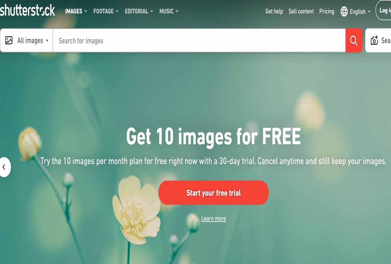Shutterstock Free Image