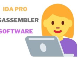 IDA Pro Disassembler Software