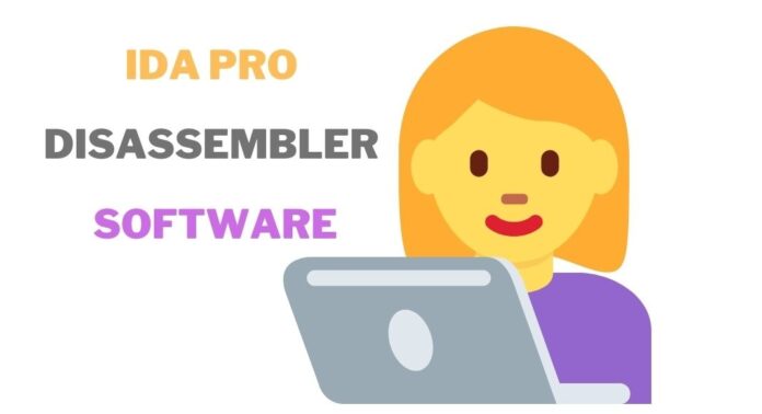 IDA Pro Disassembler Software