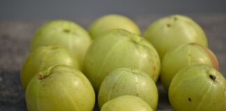 Amla fruit