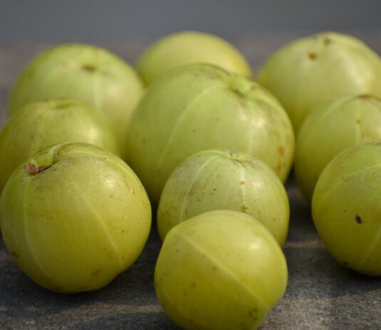 Amla fruit