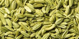 benefits of fennel