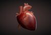 Keep Your Heart Healthy With These Tips Heart