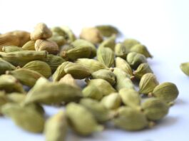 Cardamom