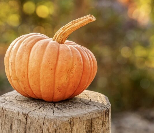 Health benefits of pumpkin