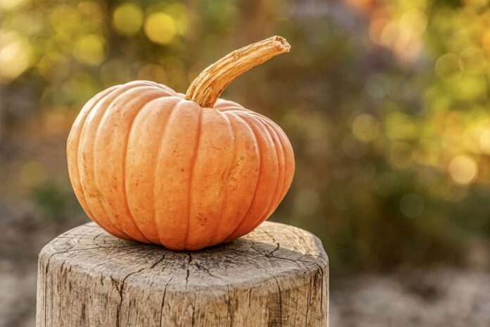 Health benefits of pumpkin