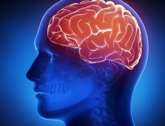 Bad Habits can Cause Harm to the Brain, Know How to Protect brain