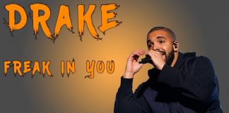 Drake Net Worth