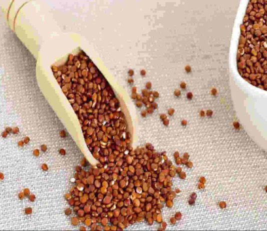 Gluten-free Grains