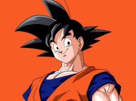 Goku Anime Character