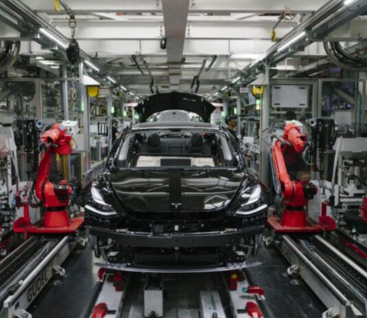 Tesla Dedicated Robotaxi