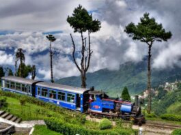 Darjeeling train