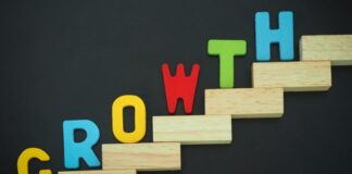 How to manage small business growth – plan your next steps?