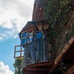 Cabins in the Middle of the Forest in Puebla