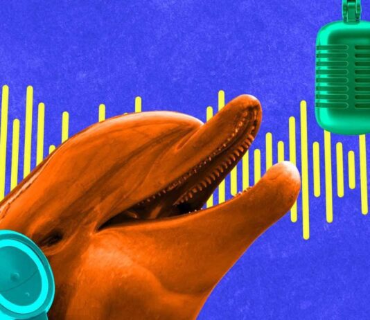 Earth Species Project: Using New AI to Communicate with All Animals