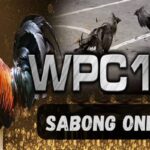 Top 30 Alternatives to Wpc2025 with Dashboard Login Method Wpc2025