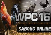 Wpc16