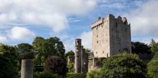 Things To Do in Carrigaline and Blarney Castle