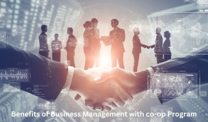 Benefits of Business Management with co-op Program