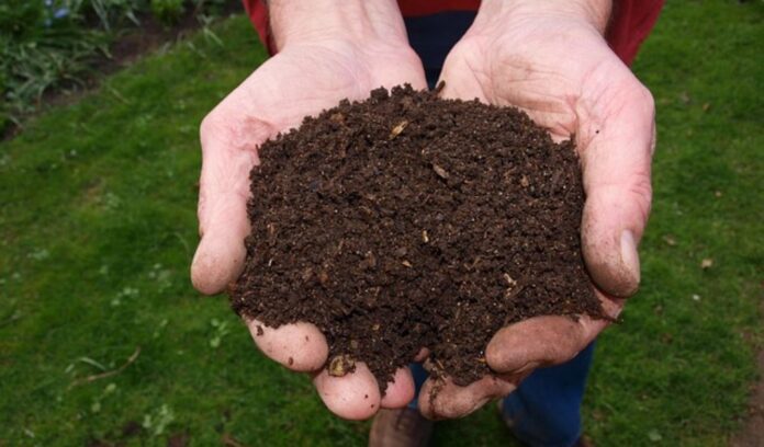 Compost at Home