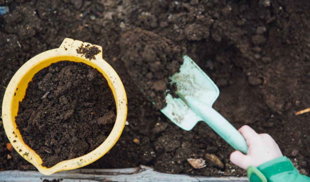 How to Compost at Home for Beginners