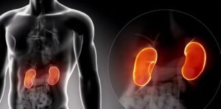 Habits that Harm Your Kidneys