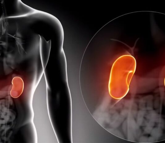 Habits that Harm Your Kidneys