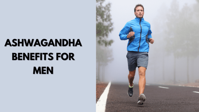 Ashwagandha Benefits For Men