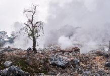 Deadliest Natural Disasters in History