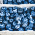 Largest Exporters of Blueberries in the World