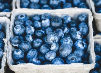 Largest Exporters of Blueberries in the World