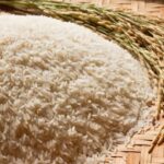 Rice Producing Countries in the World