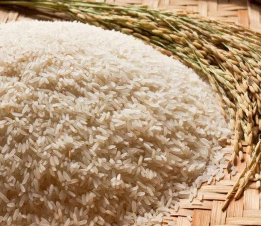 Rice Producing Countries in the World