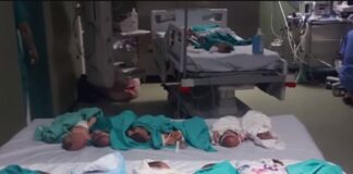 Gaza AL Shifa Hospital Evacuation Israel Siege