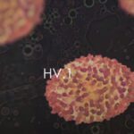 HV.1 Dominant Covid Variant Symptoms Vaccines