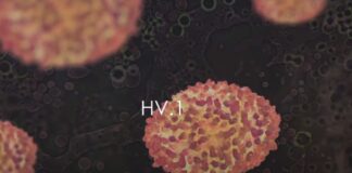 HV.1 Dominant Covid Variant Symptoms Vaccines