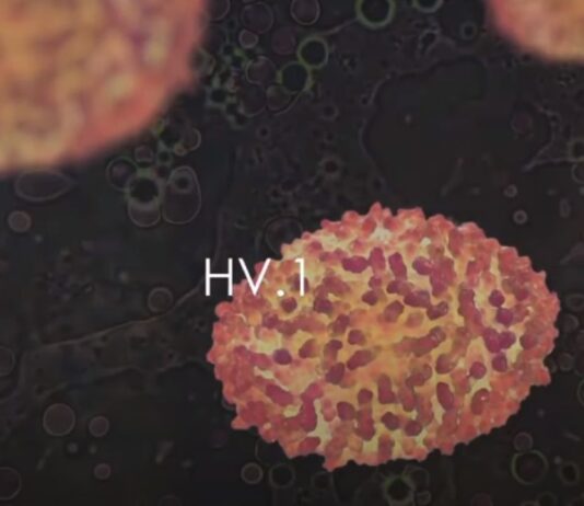 HV.1 Dominant Covid Variant Symptoms Vaccines
