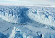 North Greenland Ice Shelves Lost