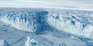 North Greenland Ice Shelves Lost