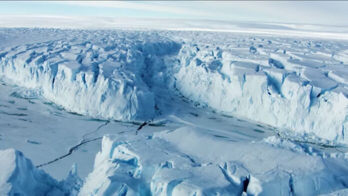 North Greenland Ice Shelves Lost