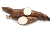 Cassava Health Risks