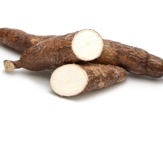 Cassava Health Risks