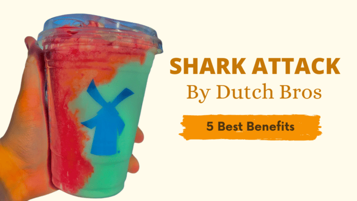 shark attack dutch bros benefits