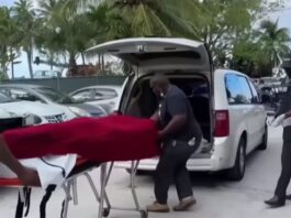 Shark Attack Bahamas