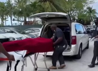 Shark Attack Bahamas