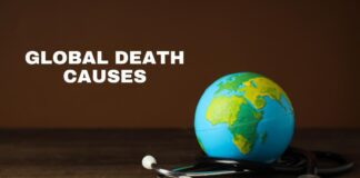 Top Global Death Causes