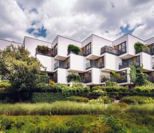 Sustainable Design Ideas for Your Home