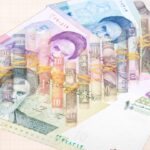 20 of the World’s Weakest Currencies in 2025 weakest currencies in 2025