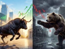 bull vs bear market